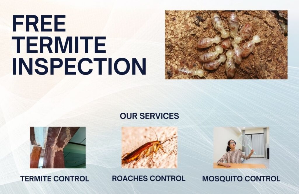 inspest services