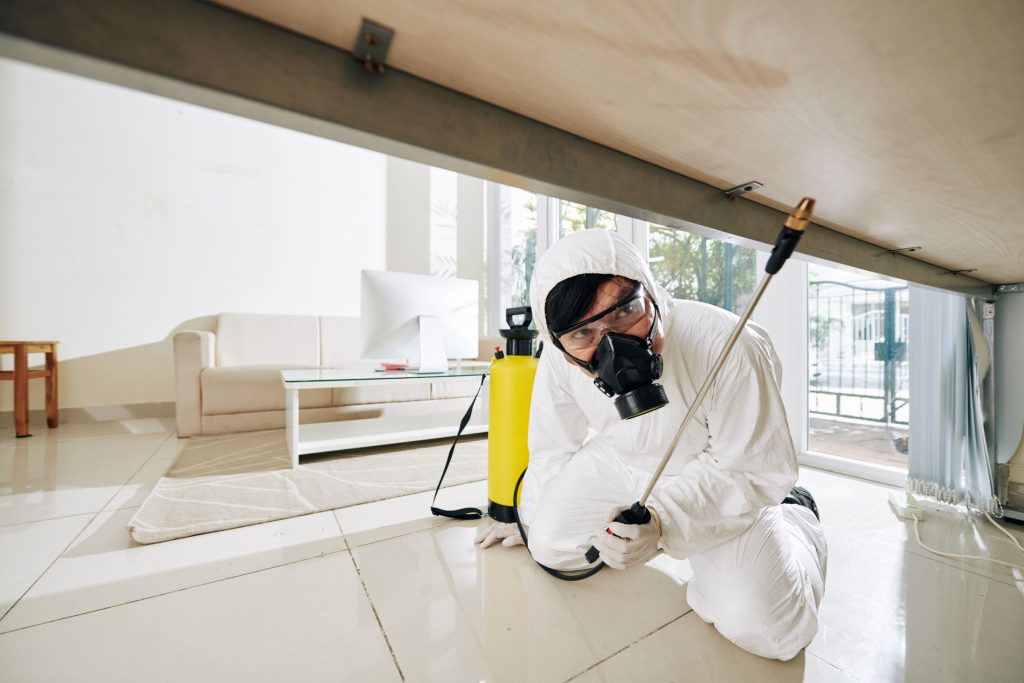 disinfecting-hardly-accessible-surfaces-2025-01-31-00-40-30-utc.jpg