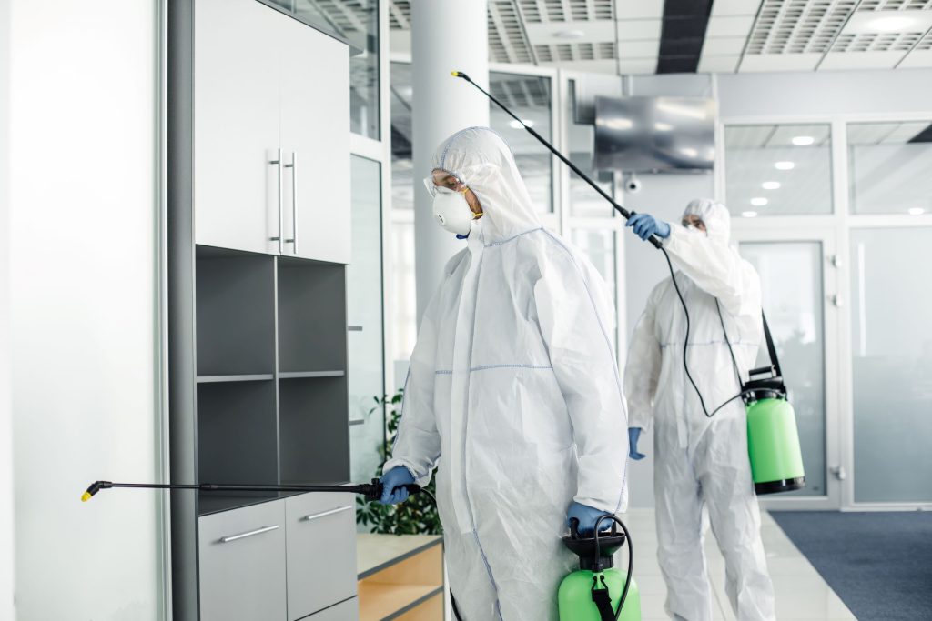 professional-disinfection-of-room-and-furniture-du-2023-11-27-05-17-47-utc.jpg